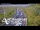 Webcam in North Shore, 0.6 mi away