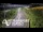 Webcam in North Shore, 3.5 km entfernt