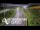 Webcam in North Shore, 7.4 km