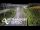 Webcam in North Shore, 0.6 mi away