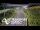 Webcam in North Shore, 0.6 mi away