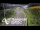 Webcam in North Shore, 1.6 km