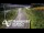Webcam in North Shore, 0.6 mi away