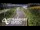 Webcam in North Shore, 0.6 mi away