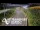 Webcam in North Shore, 0.6 mi away