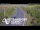 Webcam in North Shore, 7.8 km