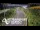 Webcam in North Shore, 0.6 mi away