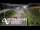 Webcam in North Shore, 0.6 mi away