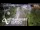 Webcam in North Shore, 1.6 km