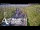 Webcam in North Shore, 6.7 km entfernt