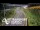 Webcam in North Shore, 7.4 km
