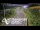 Webcam in North Shore, 1.5 km