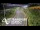 Webcam in North Shore, 7.3 km