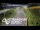 Webcam in North Shore, 5.3 km entfernt