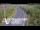Webcam in North Shore, 6.7 km entfernt