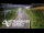 Webcam in North Shore, 0.6 mi away
