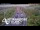 Webcam in North Shore, 0.6 mi away