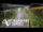 Webcam in North Shore, 6.7 km entfernt