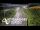 Webcam in North Shore, 0.6 mi away