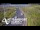Webcam in North Shore, 7.5 km