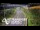 Webcam in North Shore, 3.5 km