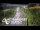 Webcam in North Shore, 2.6 mi away
