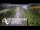 Webcam in North Shore, 0.6 mi away