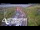 Webcam in North Shore, 0.6 mi away