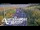 Webcam in North Shore, 0.6 mi away