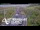 Webcam in North Shore, 5.3 km entfernt