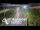 Webcam in North Shore, 0.6 mi away