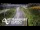 Webcam in North Shore, 10.4 km