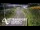 Webcam in North Shore, 0.6 mi away