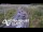Webcam in North Shore, 7.7 km