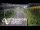 Webcam in North Shore, 0.6 mi away