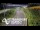 Webcam in North Shore, 0.6 mi away