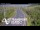 Webcam in North Shore, 7.8 km