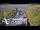 Webcam in North Shore, 10.4 km entfernt
