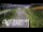 Webcam in North Shore, 6.7 km