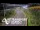 Webcam in North Shore, 5.3 km entfernt
