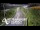 Webcam in North Shore, 0.6 mi away