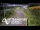 Webcam in North Shore, 5.3 km