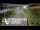 Webcam in North Shore, 3 mi away