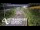 Webcam in North Shore, 5.3 km entfernt