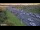 Webcam in Northcote, 4 km entfernt