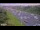 Webcam in Northcote, 4 km entfernt