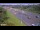 Webcam in Northcote, 7.4 km entfernt
