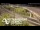 Webcam in Auckland, 0.6 mi away