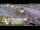 Webcam in Auckland, 4.7 km entfernt