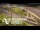 Webcam in Auckland, 4.8 km